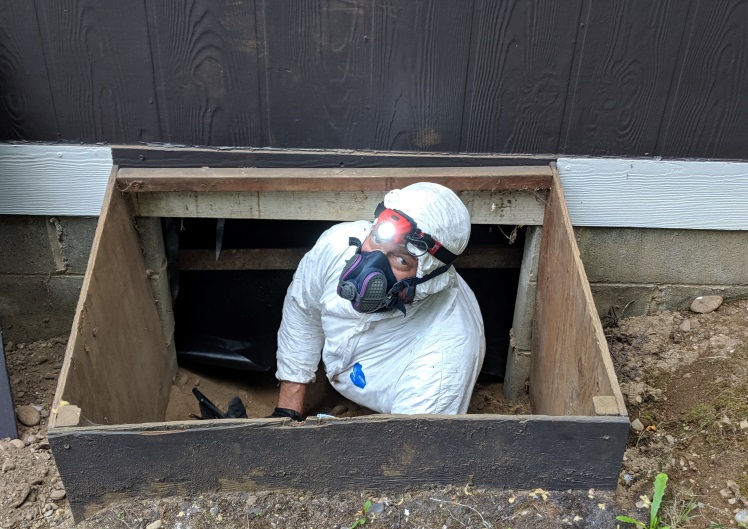 Crawlspace inspection by home inspector Randall Foster